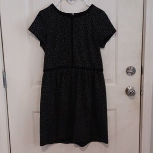 12 LOFT black and gray dress